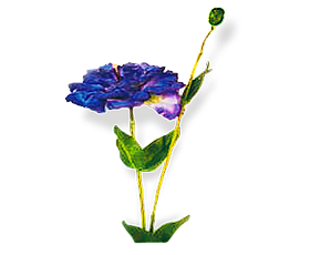 Lisianthus