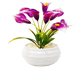 Macetitas