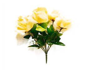 Rosas